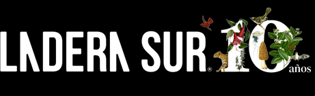 Ladera Sur, 10 años